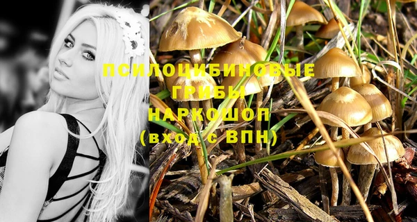 гидропоника Армянск