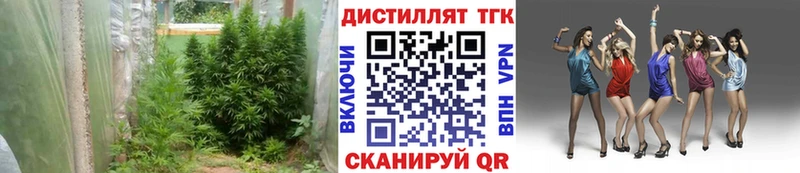 Дистиллят ТГК вейп Жуков